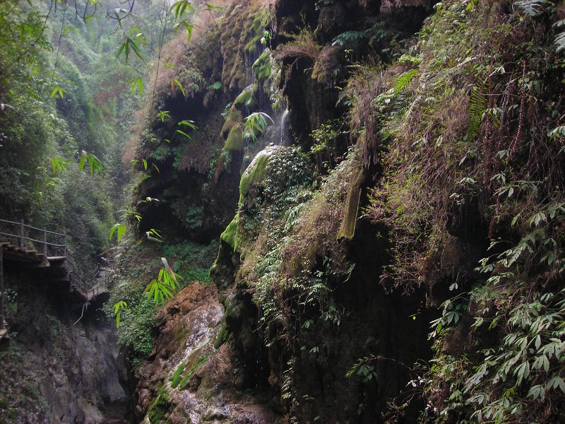 2012 china_tour029.jpg